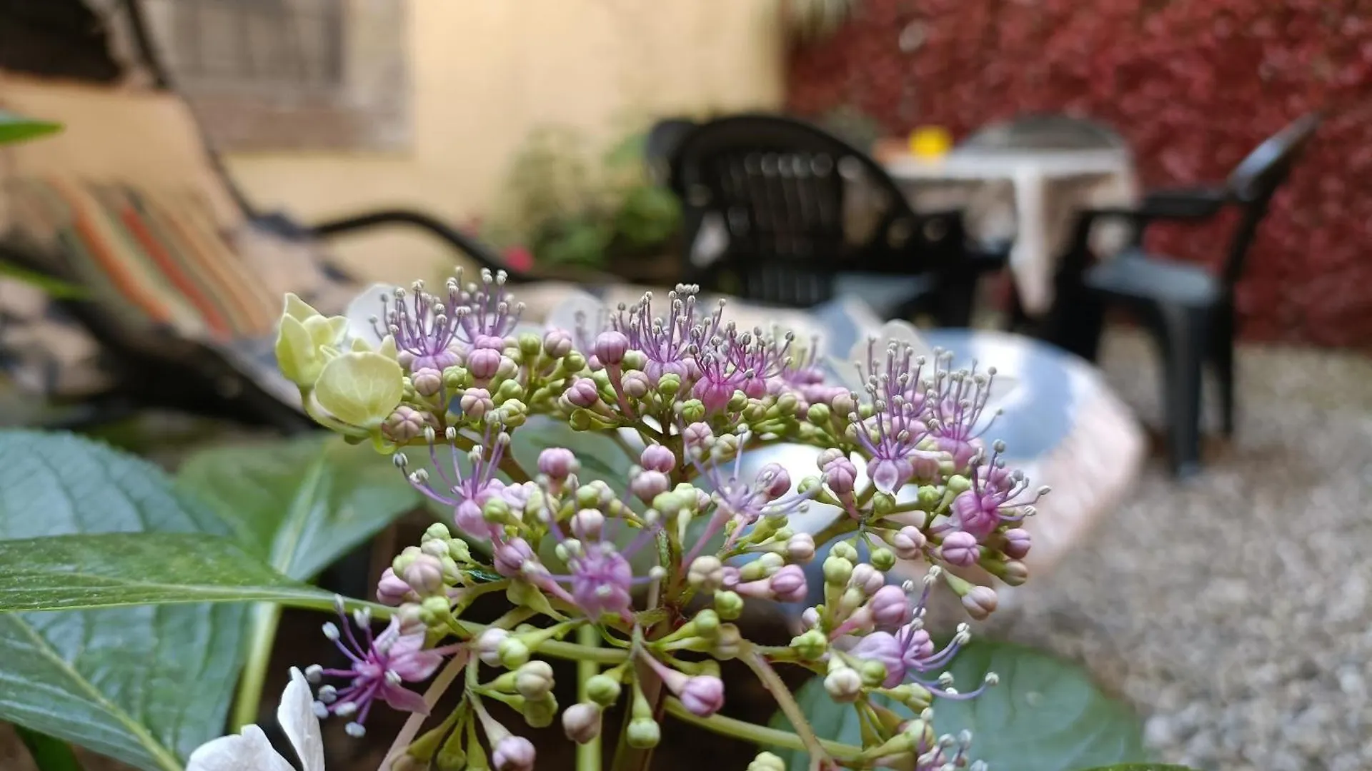 Appartamento Il Giardino Segreto Lucca