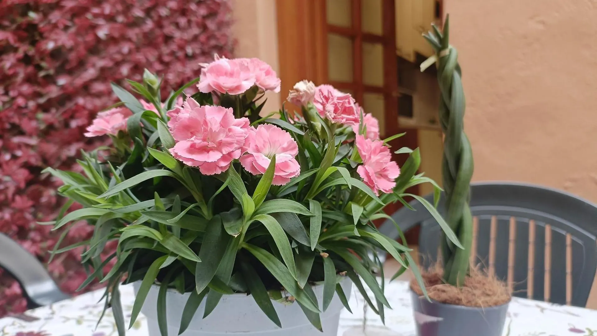 Il Giardino Segreto Apartment Lucca Italy