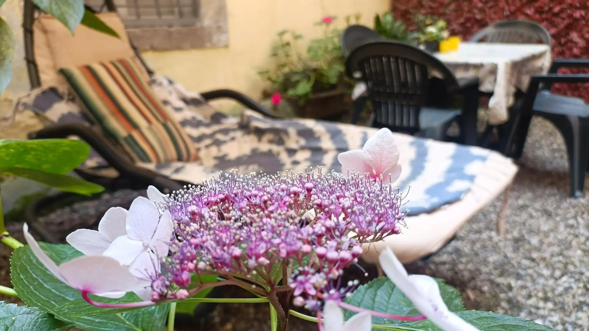 Il Giardino Segreto Apartment Lucca
